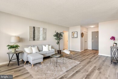 Skyline Plaza unit 2513N, Baileys Crossroads, VA 22041 - photo 5