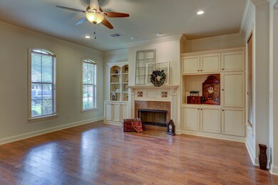 Fireplace and built-ins