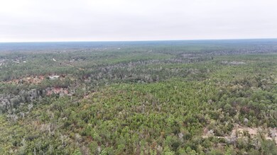 0 Joshua Rd, Marianna, FL 32448 - photo 4