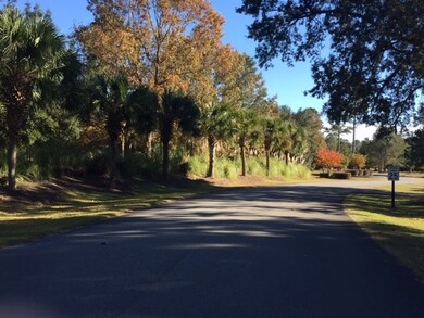 Lot 401 Blackberry Ln NE, Shellman Bluff, GA 31331 - photo 5