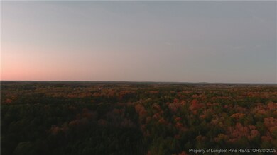 TBD Lick Creek Rd, Sanford, NC 27330 - photo 4