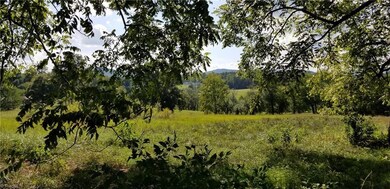 00 Purlear Rd, Purlear, NC 28665 - photo 3