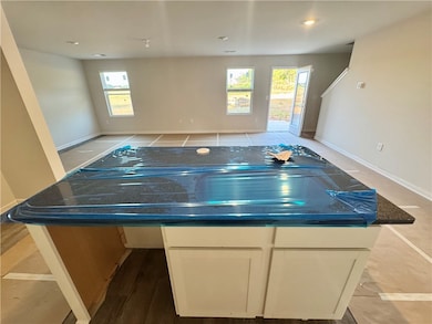 923 Flat Rock Rd, Anderson, SC 29624 - photo 7