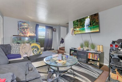 7-web-or-mls-939A7069