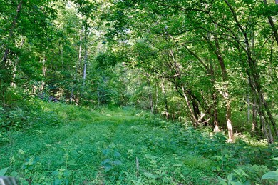 0 Shoal Creek Rd unit 2171613, Goodspring, TN 38460 - photo 4