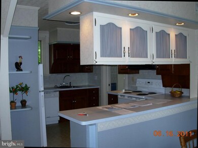 10 Queen Rd, Intercourse, PA 17534 - photo 5