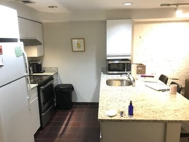 16 Greenough Ln unit Suite LL3, Boston, MA 02113 - photo 5