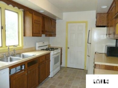 319 Home Ave, Lincoln, IL 62656 - photo 5