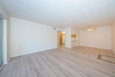 Open Airy Floor Plan