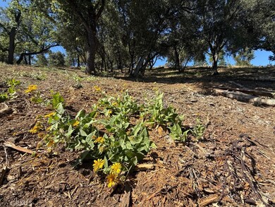 5710 Clouds Rest, Mariposa, CA 95338 - photo 6