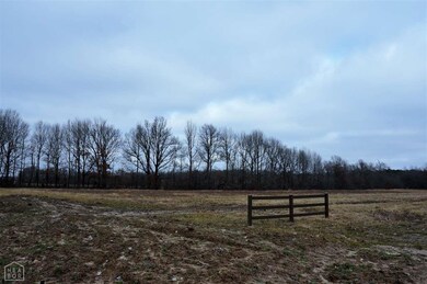 668 County Road 304, Jonesboro, AR 72401 - photo 2