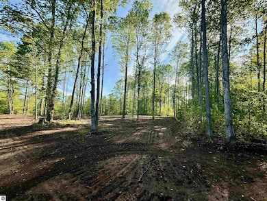 1155 E Solaris Way, Maple City, MI 49664 - photo 5