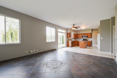 24304 Pear Tree Way, Plainfield, IL 60585 - photo 5