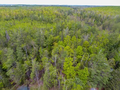 DJI_0282