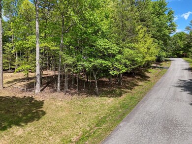 0 The Landing unit 415661, Blairsville, GA 30512 - photo 2