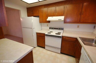 3500 Forest Edge Dr, Silver Spring, MD 20906 - photo 6