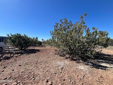 613 E Mountain Cat Rd, Williams, AZ 86046 - photo 5