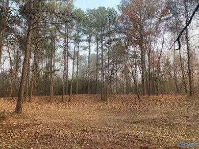 4+/- Acres Mount Carmel Dr, Guntersville, AL 35976 - photo 3