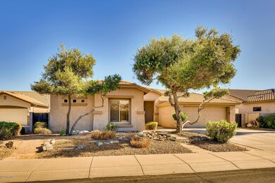 2441 E Indian Wells Chandler-large-001-0