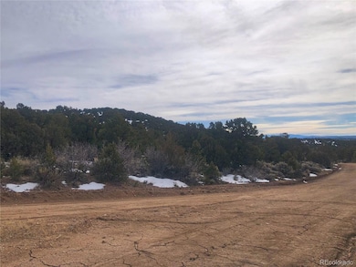 00 Rd, Fort Garland, CO 81133 - photo 3