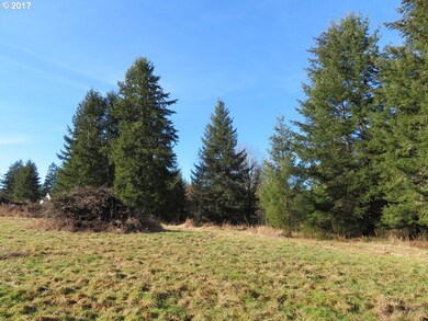 0 Cousins Rd unit 3 17223585, Chehalis, WA 98532 - photo 5