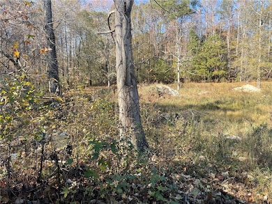 1207 Anderson St, Belton, SC 29627 - photo 6