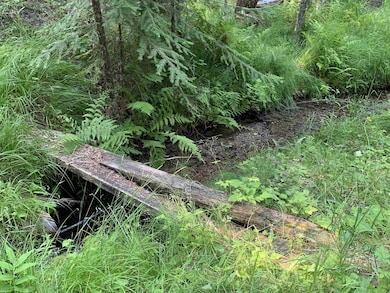 2423 Quinns Meadow Rd, Colville, WA 99114 - photo 3