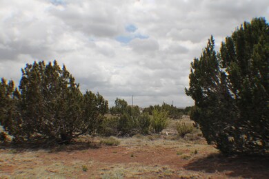 Parcel C Bourdon Ranch Rd, Show Low, AZ 85901 - photo 7