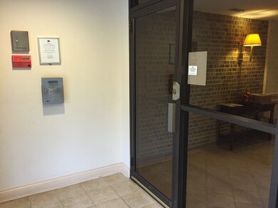 960 S River Rd unit 304, Des Plaines, IL 60016 - photo 5