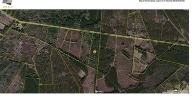 Satellite View