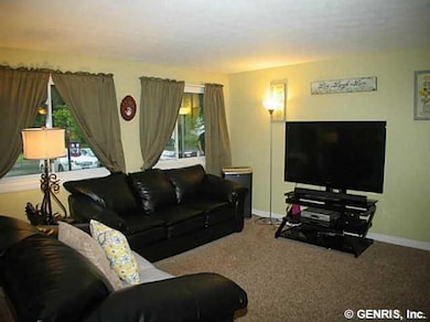 Living Room Recent Carpeting & Paint