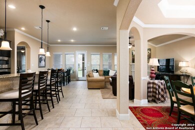 3839 Ox-Eye Daisy, San Antonio, TX 78261 - photo 5