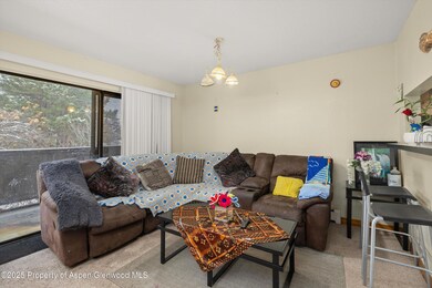 1527 Blake Ave unit 207, Glenwood Springs, CO 81601 - photo 2