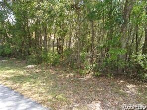 unlisted-address, Hernando, FL 34442 - photo 2