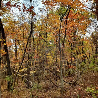 2 CROWN RIDGE Berry Farm Rd, Staunton, VA - photo 6
