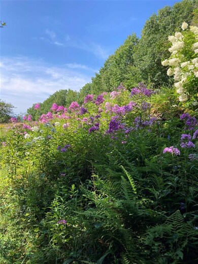 321 John Smith Hill Rd, Bristol, NH 03222 - photo 2