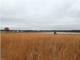 13 Chamberlin Ct unit 13, Canton, MS 39046 - photo 4