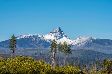 70390 Mcallister Rd unit Parcel 1, Sisters, OR 97759 - photo 6