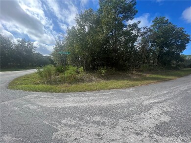 2 Primula Ct W, Homosassa, FL 34446 - photo 5