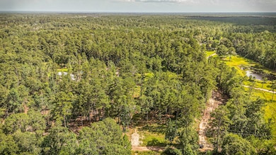 tbd County Road 1520, Warren, TX 77664 - photo 2