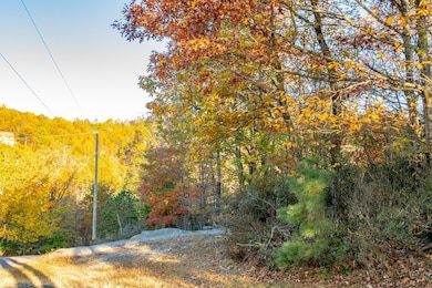 Moonlight Ln, Fancy Gap, VA 24328 - photo 6
