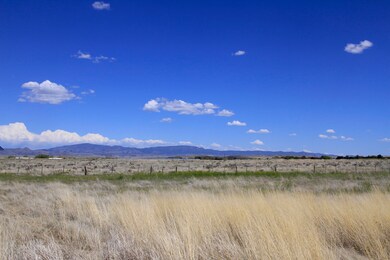 Good Shepherd-04