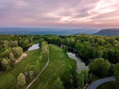 Montlake Sunset Aerial
