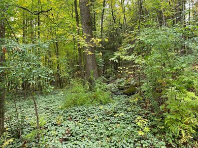 1109 Brookfield Rd, Berlin, VT 05602 - photo 6