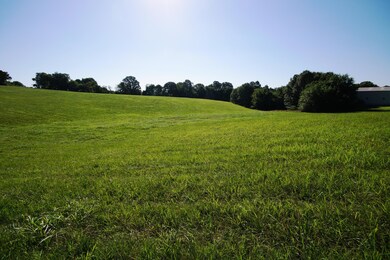 1712 S Songbird Cir, Nixa, MO 65714 - photo 4