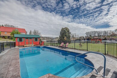 Summer Sound pic pool