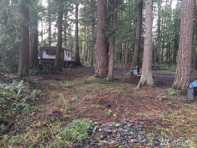 17913 Lawrence Lake Rd SE, Yelm, WA 98597 - photo 3