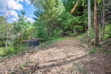 1286 Cox Store Rd SW, Floyd, VA 24091 - photo 5