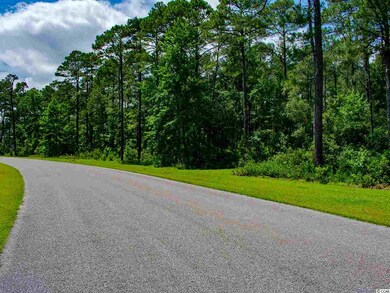 Lot 146 Ocean Lakes Loop unit Prince George, Pawleys Island, SC 29585 - photo 7