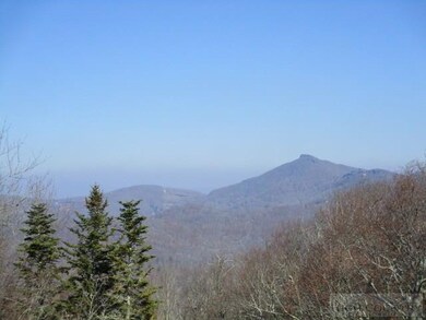 161 Skyleaf Dr unit E-20, Sugar Mountain, NC 28604 - photo 2